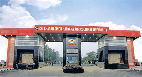 hau ssp|hau hisar official website.